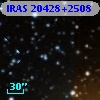 IRAS 20428+2508