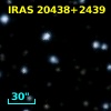 IRAS 20438+2439