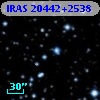 IRAS 20442+2538