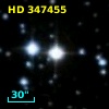 HD 347455