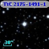 TYC 2175-1491-1