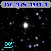 TYC 2175-1931-1
