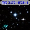 TYC 2172-1529-1