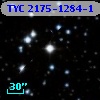 TYC 2175-1284-1