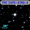 TYC 2175-1293-1