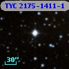 TYC 2175-1411-1