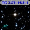 TYC 2175-1419-1