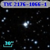 TYC 2176-1066-1