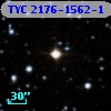 TYC 2176-1562-1