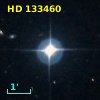 HD 133460