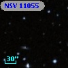 NSV 11055