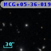 MCG+05-36-019