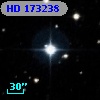 HD 173238
