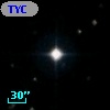 TYC 2031-561-1