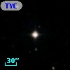 TYC 2031-1153-1