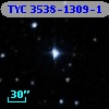TYC 3538-1309-1