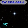 TYC 3539-300-1