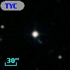 TYC 2031-333-1