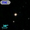TYC 2031-384-1