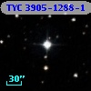 TYC 3905-1288-1