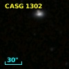 CASG 1302