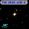 TYC 3918-320-1
