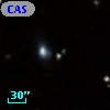 CASG 1306