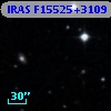 IRAS F15525+3109