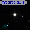 TYC 2572-31-1