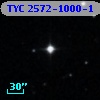 TYC 2572-1000-1