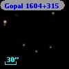 Gopal 1604+315