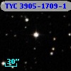TYC 3905-1709-1