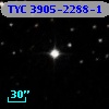 TYC 3905-2288-1