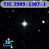 TYC 3909-1307-1