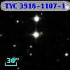 TYC 3918-1107-1