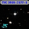 TYC 3918-2177-1