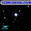 CCDM J16316+3148B