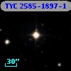 TYC 2585-1897-1