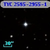 TYC 2585-2955-1