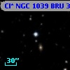 Cl* NGC 1039    BRU       3
