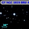 Cl* NGC 1039    BRU       4