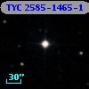 TYC 2585-1465-1