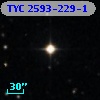 TYC 2593-229-1