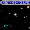 Cl* NGC 1039    BRU      49