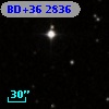 BD+36  2836