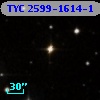 TYC 2599-1614-1