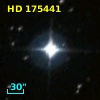 HD 175441