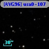 [AVG96] usa0-107
