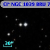 Cl* NGC 1039    BRU      79