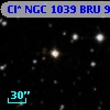 Cl* NGC 1039    BRU      95
